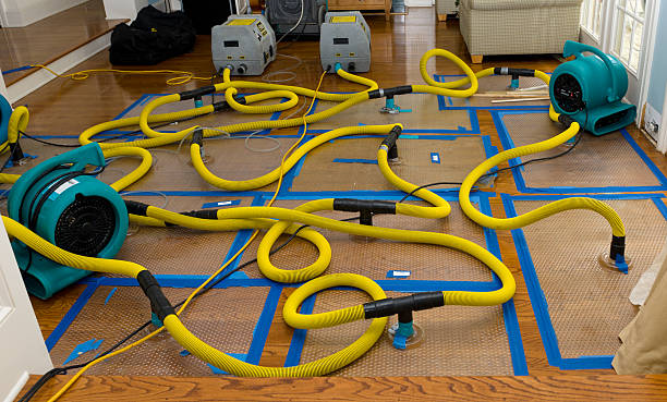 Professional Water Damage Restoration technician working in Gates Mills, OH